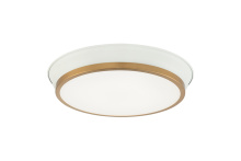 Matteo Lighting M11202WHAG - JAXX Ceiling Mount